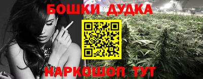 дурь Сланцы