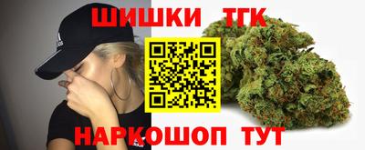 дурь Сланцы