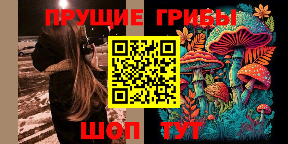 Галлюциногенные грибы Psilocybine cubensis Нарткала